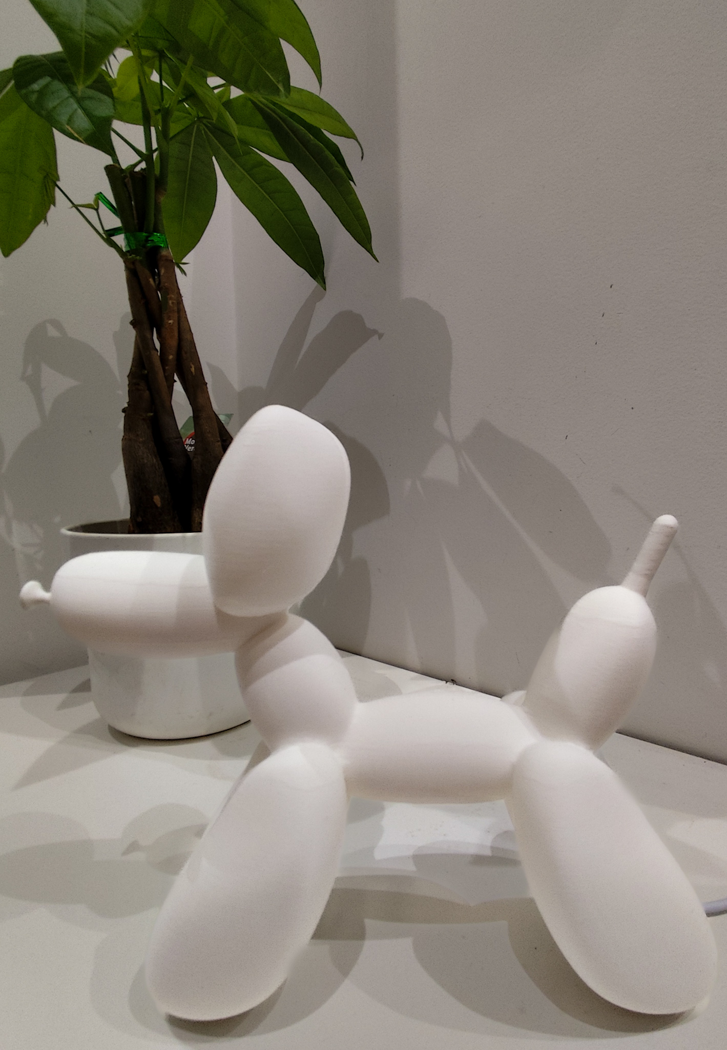 IMG_20241110_165616 (1)