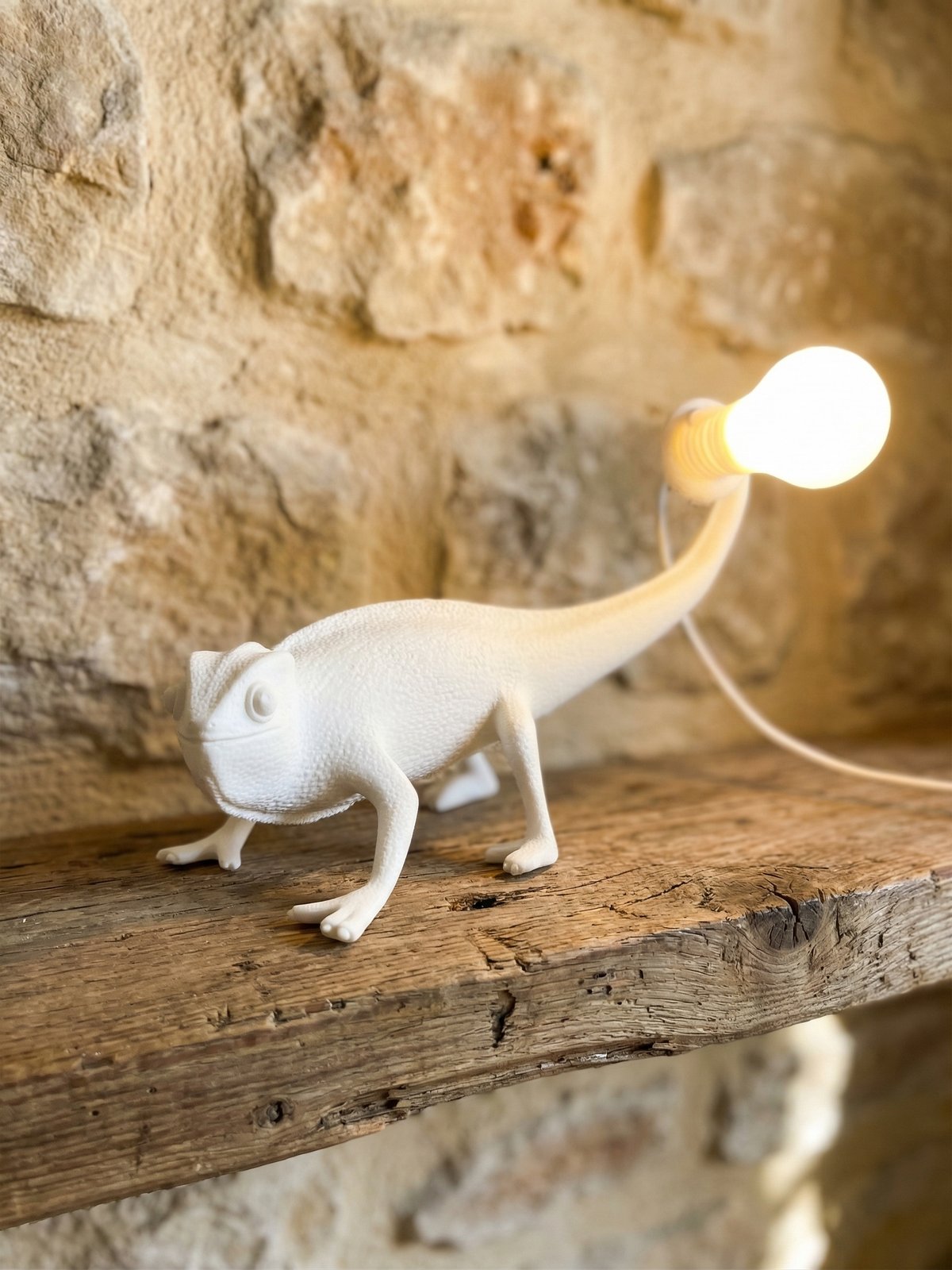 lampada-3d-camaleonte-design-regalo-perfetto-per-san-valentino_photos_1__photo_1