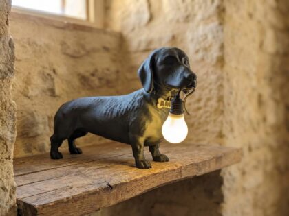 Lampada Bassotto Nero 23 cm Personalizzata – Statua 3D