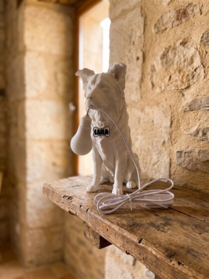 Lampada Border Collie con Nome – Idea Regalo 3D