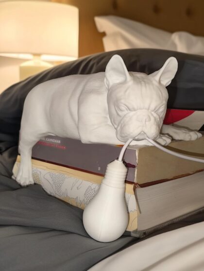 Lampada Bulldog Francese Personalizzata – Idea Regalo 3D