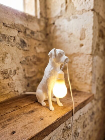 Lampada Labrador con Nome – Idea Regalo Fatta a Mano