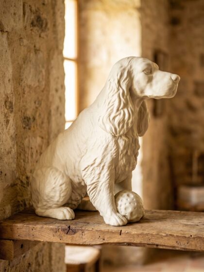 Lampada Cocker Spaniel con Nome – Idea Regalo 3D