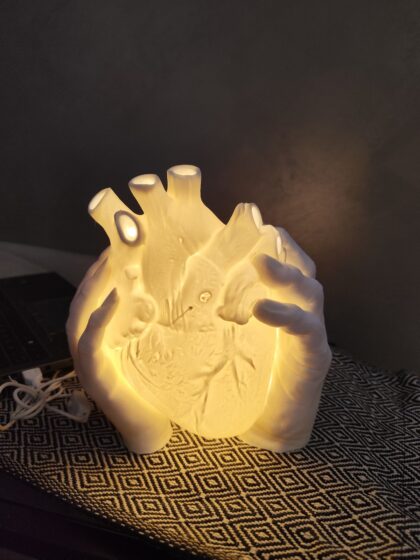 Lampada da comodino design cuore anatomico - lampada regalo originale per  laurea dottore, san Valentino e anniversari