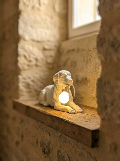 Lampada Labrador Nero Personalizzata – Idea Regalo 3D