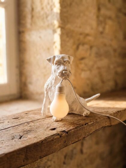 Lampada Schnauzer 20 cm Personalizzata – Statua 3D