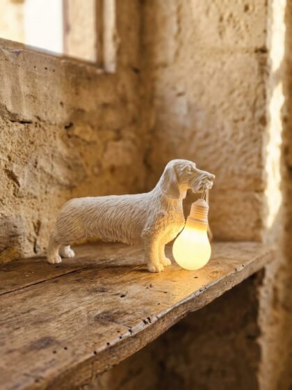 Lampada Bassotto Pelo Duro con Nome – Scultura Luminosa 3D