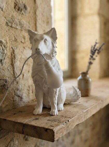 Lampada Border Collie Personalizzata – Statua 3D Fatta a Mano