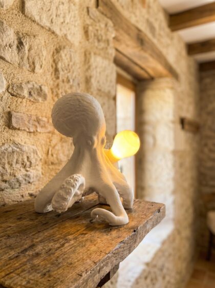 Lampada stampata 3D forma polpo